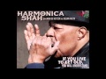 Harmonica Shah & Howard Glazer  ~  ''Crying Michigan Tears''&''Baby , Scratch My Back''  2003