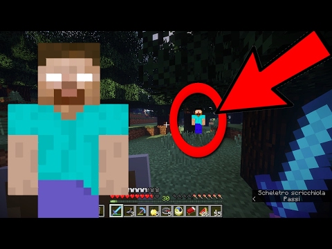 NON SIAMO SOLI! HEROBRINE AVVISTATO IN LIVE! - MINECRAFT 1.11 ITA - VANILLA (PC NO MOD) #2