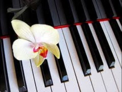 Coconut Pie Piano Performance Video