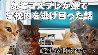 【猫ミーム】学校の文化祭のコスプレ企画が嫌で学校内を逃げ回った話【猫マニ】