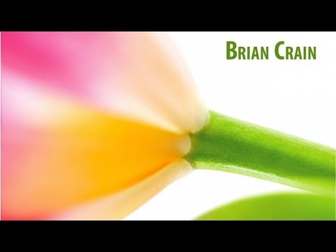 Brian Crain - Spring Symphonies (Full Album)