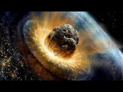 MO08 Extinciones masivas