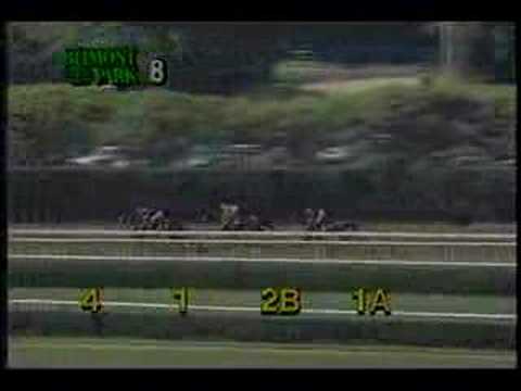 Inside Information - 1995 Shuvee Handicap