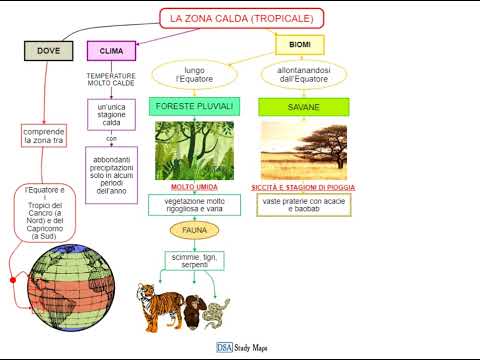 videomappa - geografia - il clima - 8 zona calda