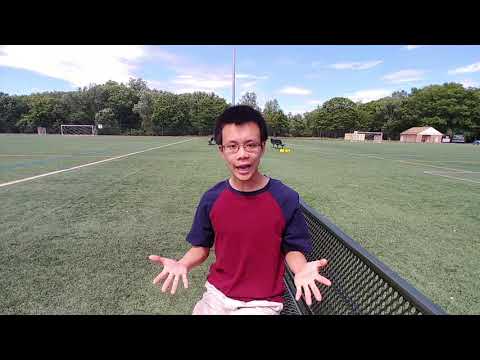 Quantum Fields: The Fundamental Building Blocks of Our Universe