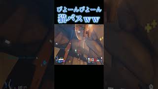 ヴェンデッタの縦斬りで猫バスがびよーんｗｗ【オーバーウォッチ2】#Shorts #ソニック10