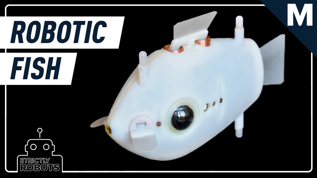 Harvard Researchers Created a Robotic School of Fish | Strictly Robots