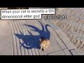 R Bossfight Run Run RUN RUN RUN