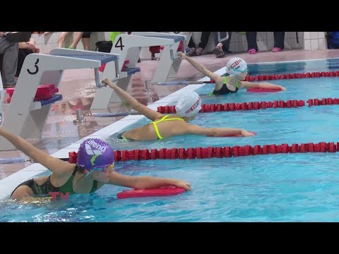 Weihnachtsschwimmen 2017 des Berliner TSC