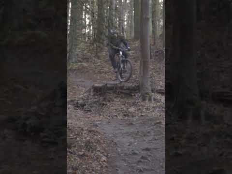 Marin Rift Zone 2 2023 - Forest fun
