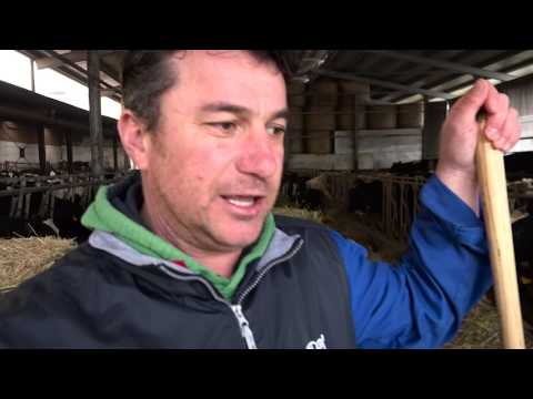 VISTA DA VICINO - LINEA VERDE