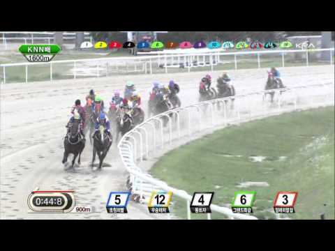 KNN Cup 2013 Yongduseong