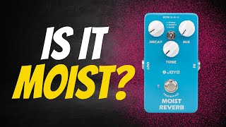 Video thumbnail for Joyo JF-20 Moist Reverb with Vox AC15c1 by TL Toneworks
