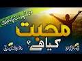Heart Touching Kalam Muhabbat Kia Hai Hassan Afzaal Siddiqui Mufti Taqi Usmani
