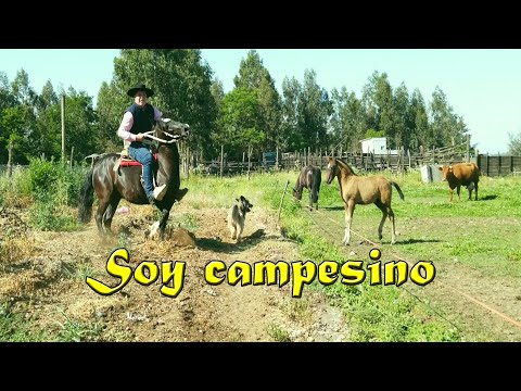 Revolución Tropical - Soy campesino - (Video Oficial)