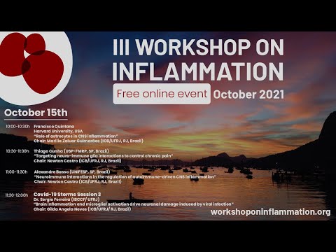 Session 3 (Neurodegenerative Diseases) - III Workshop on Inflammation