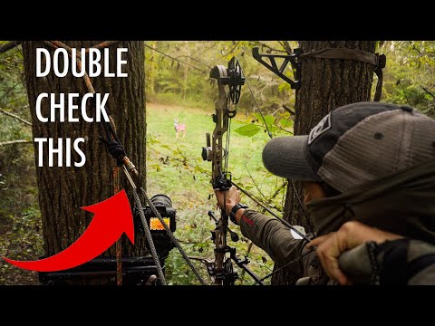 I Fell Out Of A Tree Saddle...