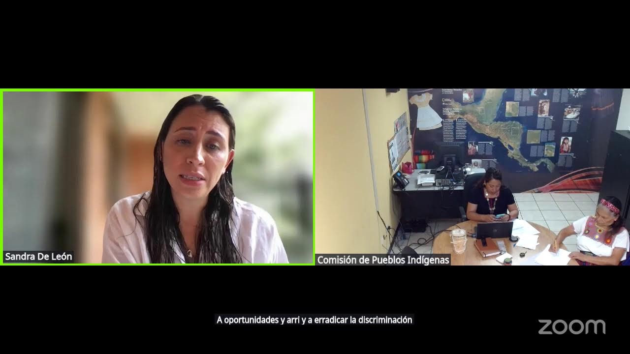 “Retos y Desafíos de la participación política  de Mujeres  Indígenas y Afrodescendientes