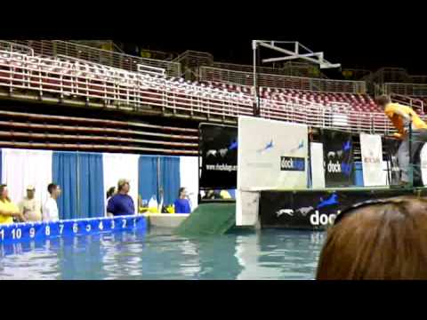 2009 St Louis DockDogs