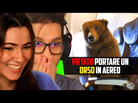 LE LEGGI PIÙ STUPIDE DEL MONDO