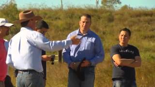Robot round-up: Cattle herding with drones takes off in Australia