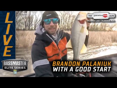 Pickwick putting out good fish for Bassmaster Elites (Brandon Palaniuk)
