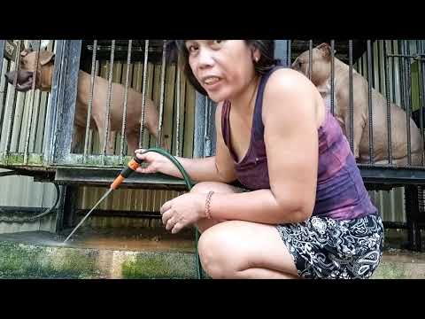 A day of my pet and me, time to shower.