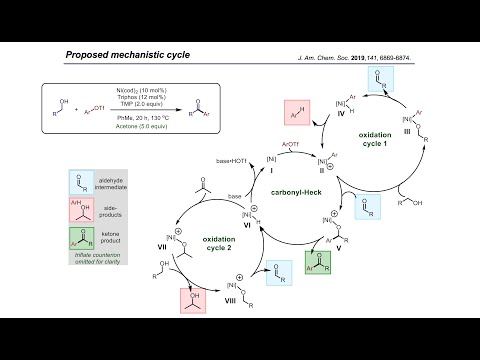 Synthesis Workshop: Nickel-catalyzed Ketone Synthesis with Dr. Thomas Verheyen (Episode 53)