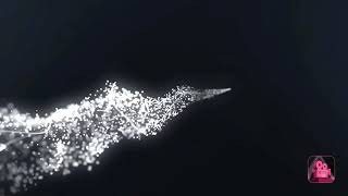 2019年初動画
