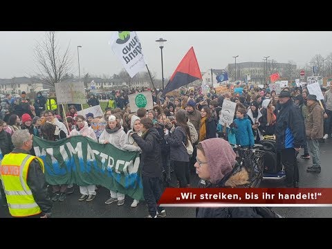 DIE HARKE vom 19.05.2019