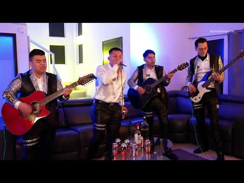 ALTO PRIVILEGIO - El Convoy del Pelo Chino [En Vivo / 4k]