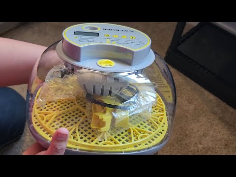 How To SET UP an INCUBATOR To Hatch Eggs