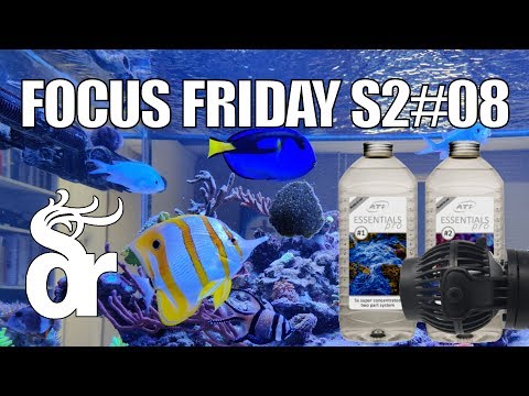 download lagu mp3 mp4 Ati Essentials Review, download lagu Ati Essentials Review gratis, unduh video klip Ati Essentials Review