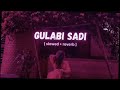 Gulabi Sadi Slowed Reverb 2024 Song Trendingsong