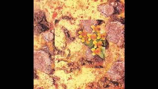 03 •  Willard Grant Conspiracy - Ballad of John Parker