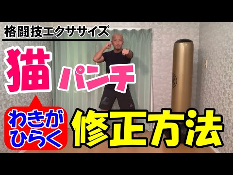 脇がひらいてしまう猫パンチ改善方法【格闘技エクササイズ動作ポイント】