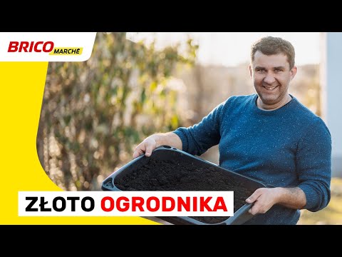 Czym jest złoto ogrodnika?