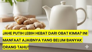 Download lagu What is White Ginger Used For? Here Are Its Amazing Benefits for the Body and Health! 🌿🔥 mp3 Download lagu What is White Ginger Used For? Here Are Its Amazing Benefits for the Body and Health! 🌿🔥 mp3