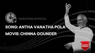 Antha Vanatha Pola High Quality Audio Song  Chinna
