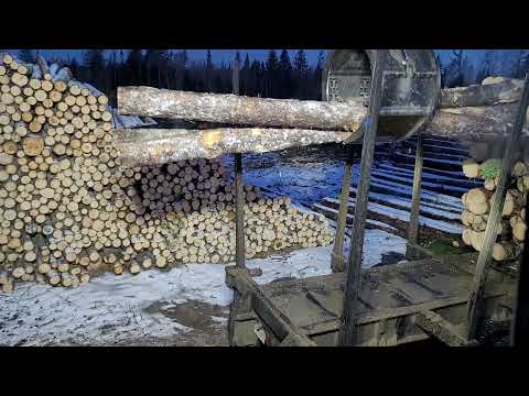 320CLL caterpillar log loader loading logs