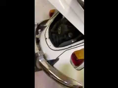 1968 Volkswagen Beetle (CC-1437309) for sale in Tampa, Florida