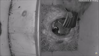 Chérie, je peux dormir avec toi ? Non !