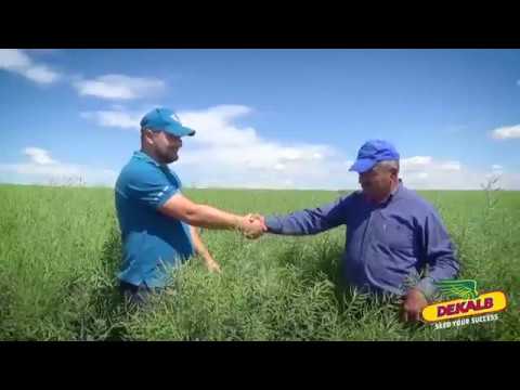 Rapita DEKALB in ferma de familie a domnului Miluta Sirghie