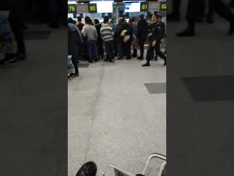 Шармандаги точик ер дар аэропорт Домодедово