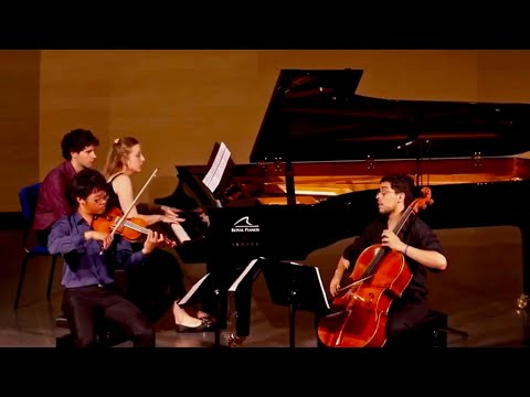 L.v.Beethoven Piano Trio in C minor op. 3 - Finale