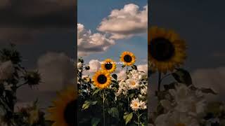 Download lagu line without a hook - Ricky Montgomery | lyrics | aesthetic | lyrics edit #honeyydrip mp3 Download lagu line without a hook - Ricky Montgomery | lyrics | aesthetic | lyrics edit #honeyydrip mp3