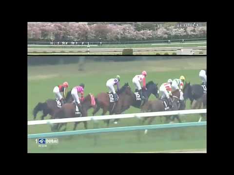 2016.04.10 The Osaka-Hamburg Cup (JPN) - Cryptogram