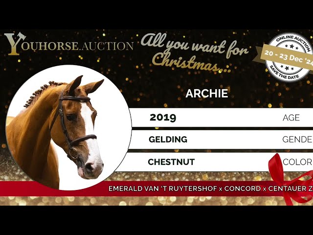 Archie showvideo