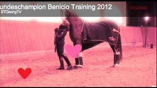 Video of Callaho's Benicio