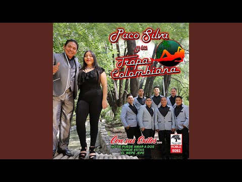 No Se Puede Amar a Dos